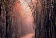 创今年新高！西媒谈西荷大战收视率：超1000万西班牙观众收看比赛.