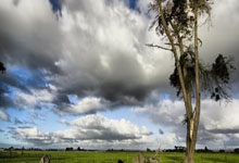 [NBA]哈登25分 快船客场大胜老鹰.